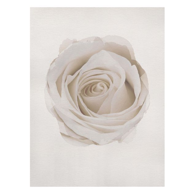 Prints modern WaterColours - Pretty White Rose