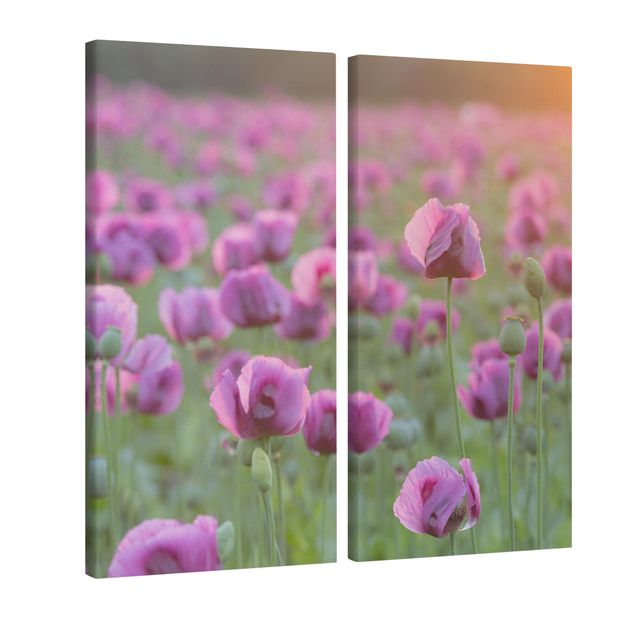Poppy canvas wall art Purple Poppy Flower Meadow In Spring