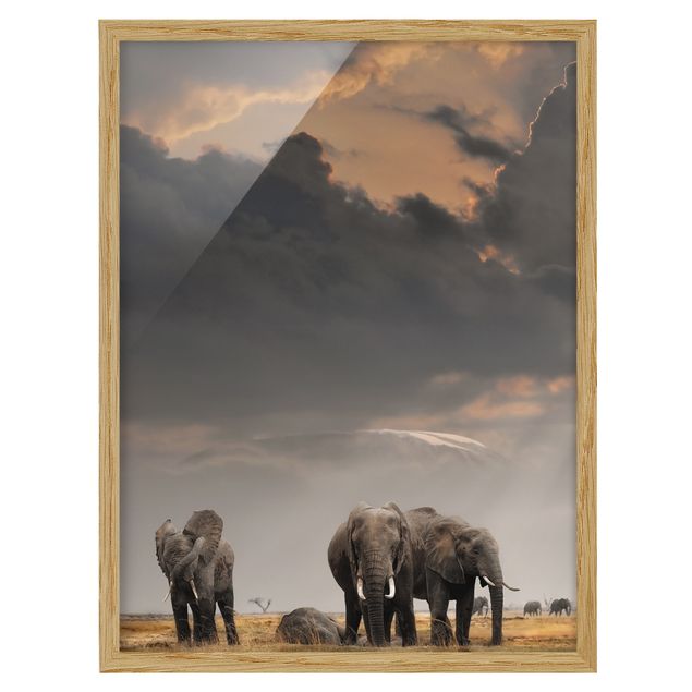 Prints animals Elephants in the Savannah
