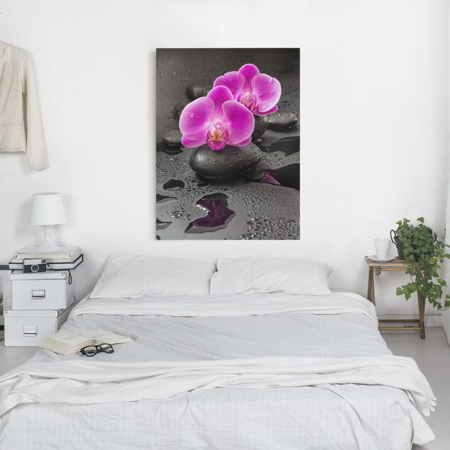 Orchid canvas Pink Orchid Flower On Stones With Drops
