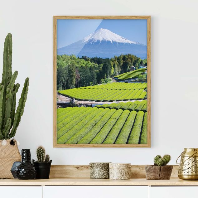 Kitchen Tea Fields In Front Of The Fuji