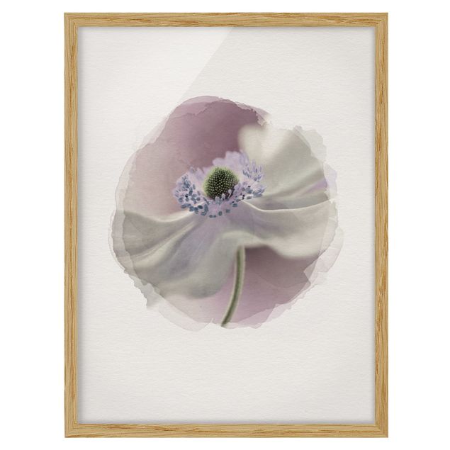 Flowers framed WaterColours - Anemones Breeze