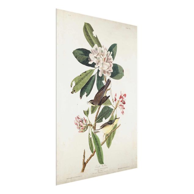 Prints flower Vintage Board Warbler