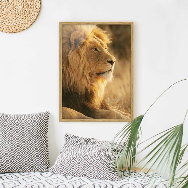 Lion print King Lion