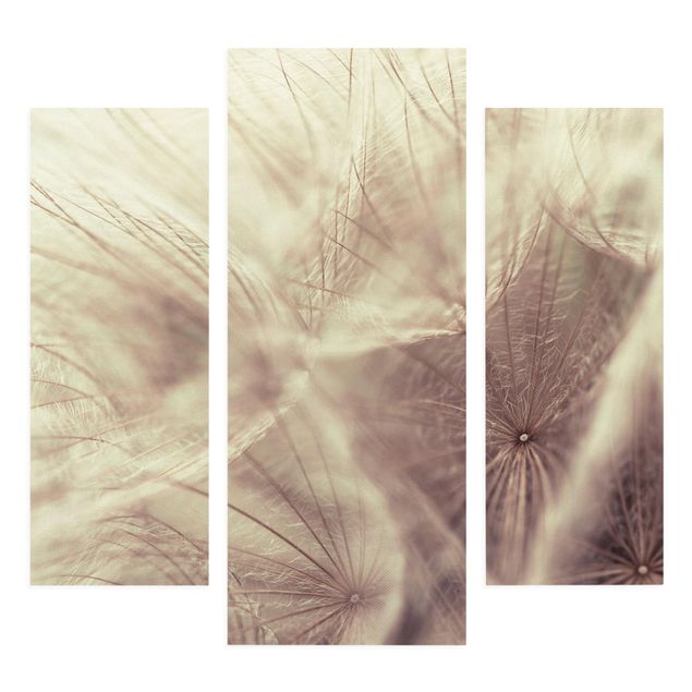 Flower print Detailed Dandelion Macro Shot With Vintage Blur Effect