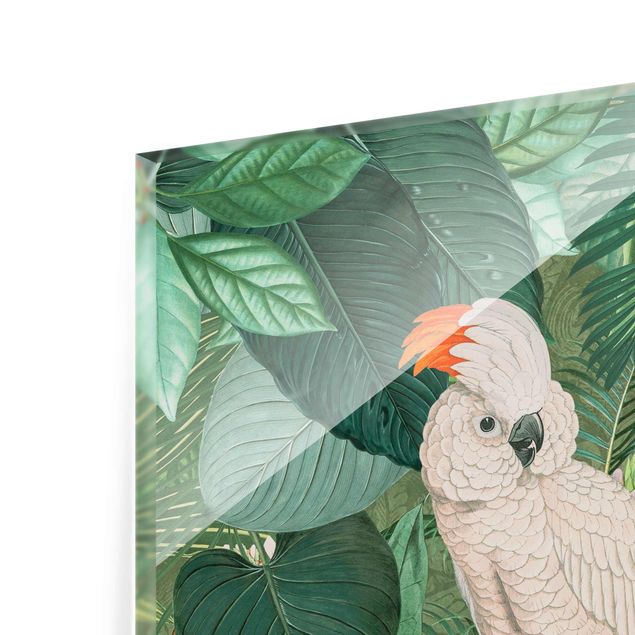Prints Vintage Collage - Kakadu And Hummingbird