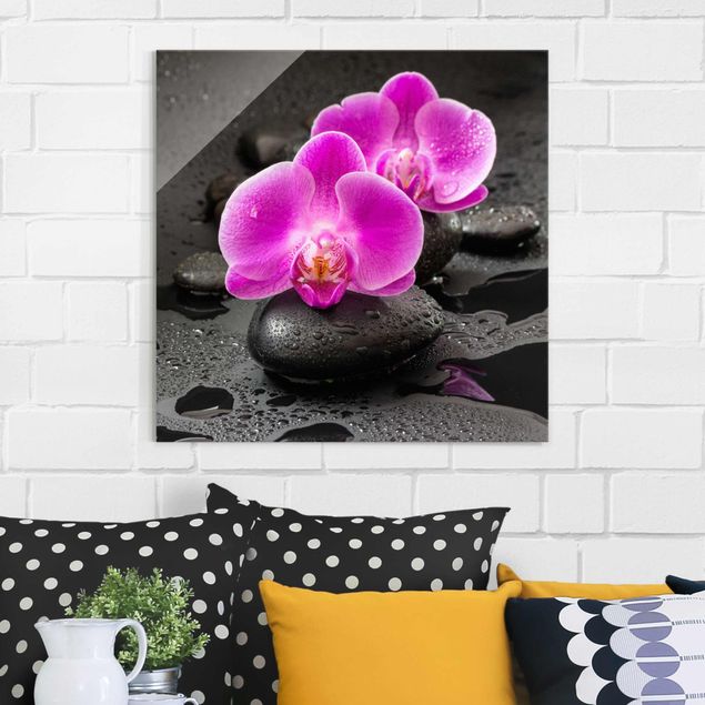 Glass prints orchid Pink Orchid Flower On Stones With Drops