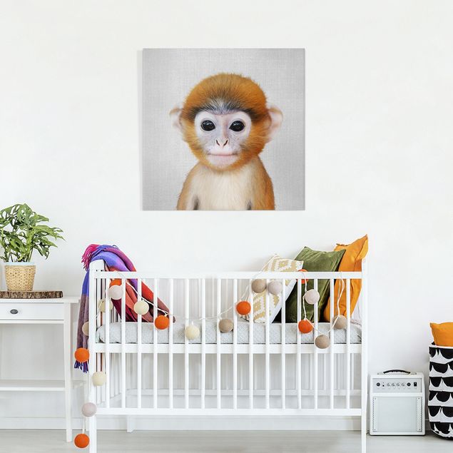 Monkey canvas Baby Monkey Anton