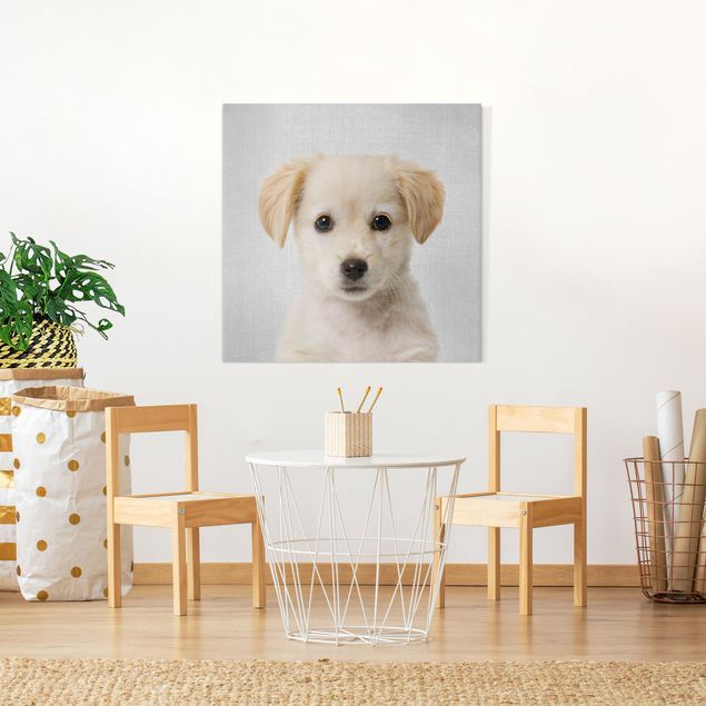Dog canvas Baby Golden Retriever Gizmo