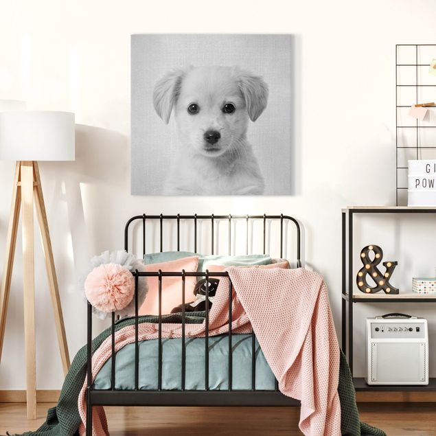 Dog canvas Baby Golden Retriever Gizmo Black And White