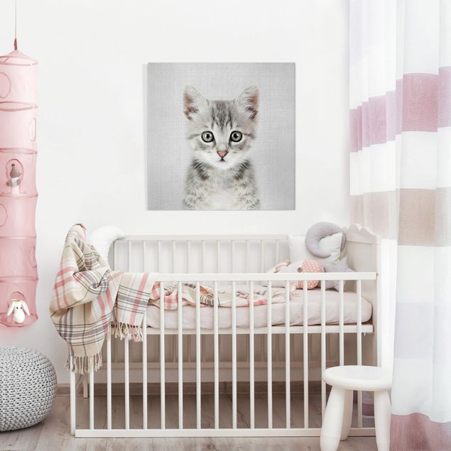 Cat canvas Baby Cat Killi
