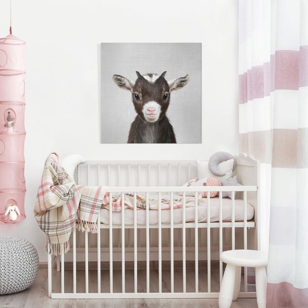 Prints animals Baby Goat Zelda