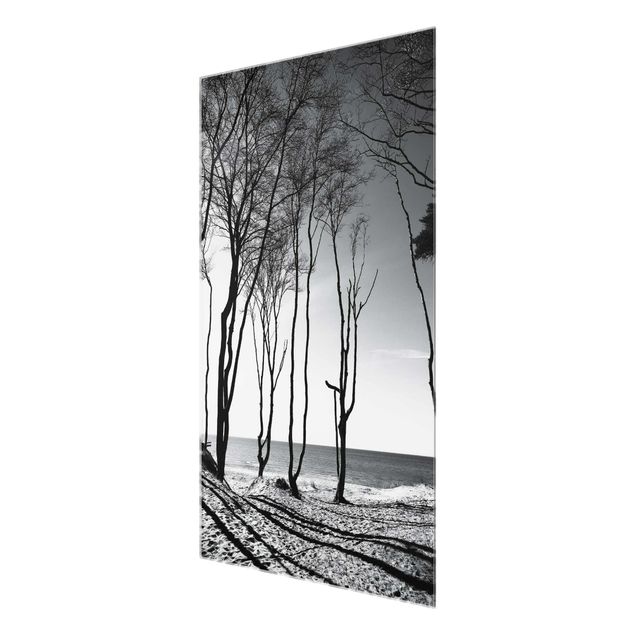 Glass prints black and white Trees At the Baltic Sea