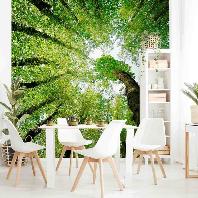 Contemporary wallpaper Trees Of Life