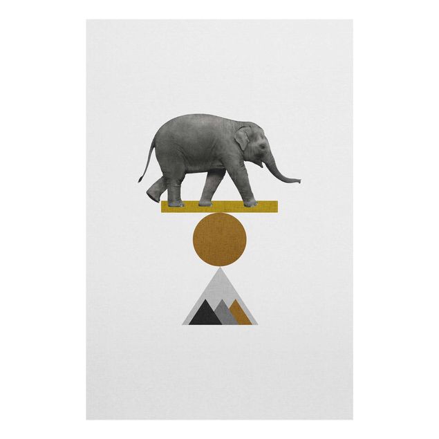 Grey canvas wall art Art Of Balance Elephant