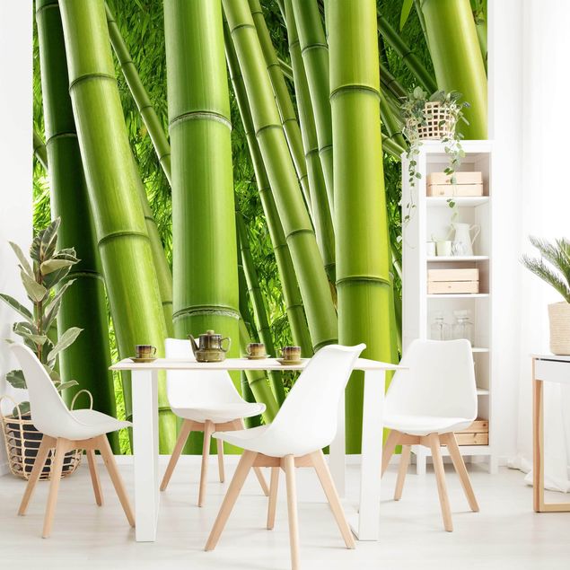Modern wallpaper designs Bamboo Trees