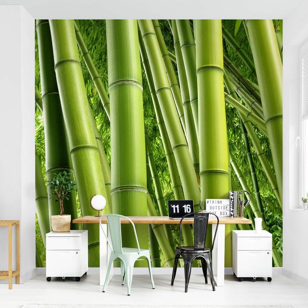 Wallpapers landscape Bamboo Trees