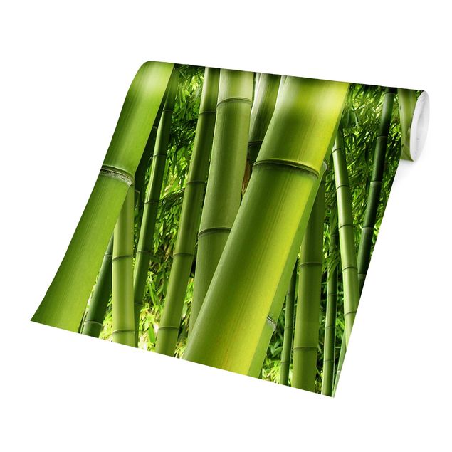 Wallpapers green Bamboo Trees