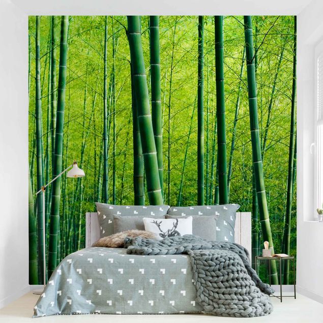 Wallpapers modern Bamboo Forest