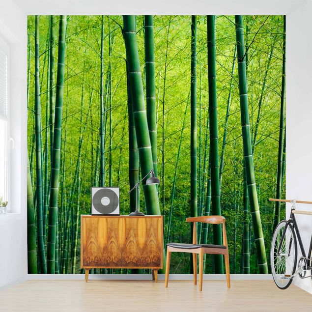 Wallpapers landscape Bamboo Forest