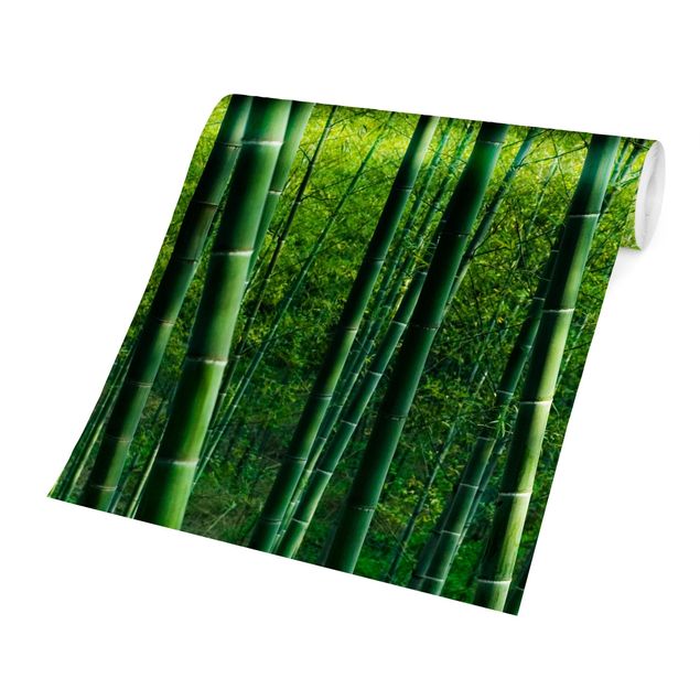 Wallpapers green Bamboo Forest