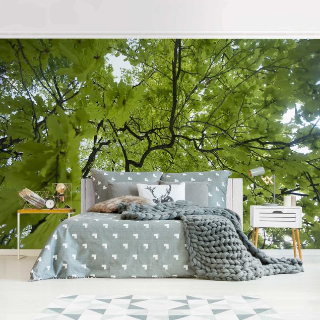 Contemporary wallpaper Treetop