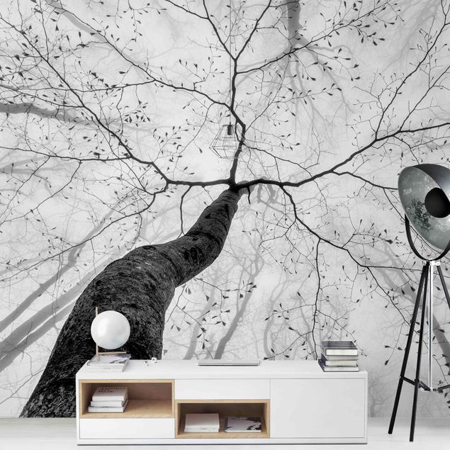 Black white wallpaper Treetops In The Sky