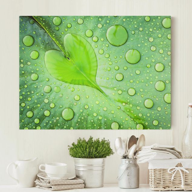 Canvas prints grasses Heart Of Morning Dew
