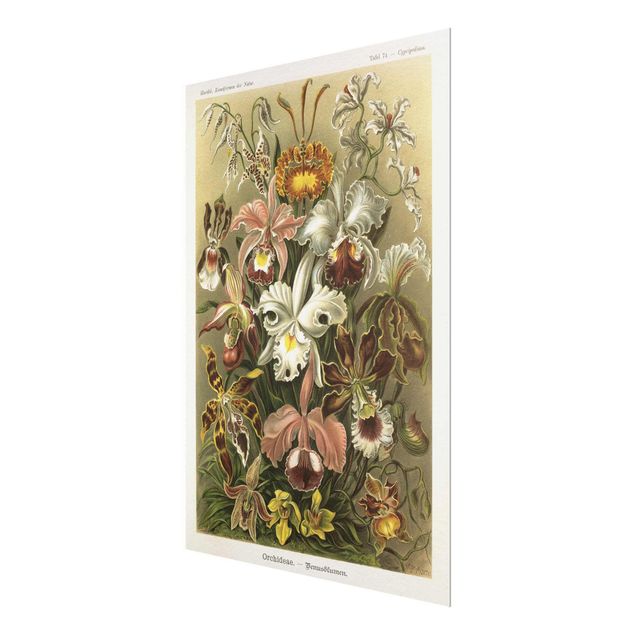 Flower print Vintage Board Orchid
