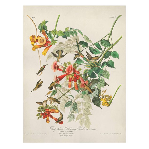 Flower print Vintage Board Hummingbirds