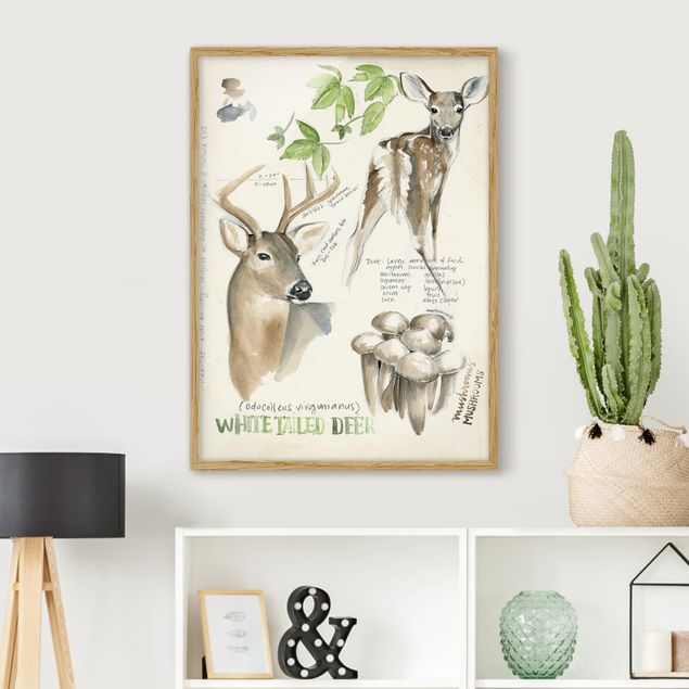 Deer prints Wilderness Journal - Deer