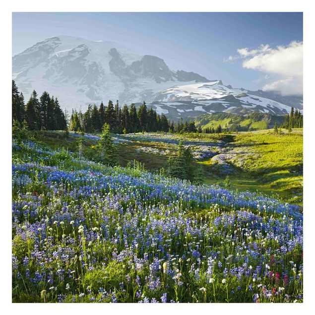 Rainforest wallpaper Mountain Meadow With Blue Flowers in Front of Mt. Rainier