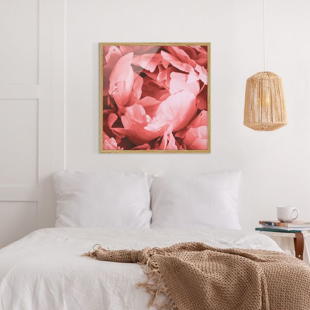 Floral picture Peony Blossom Coral