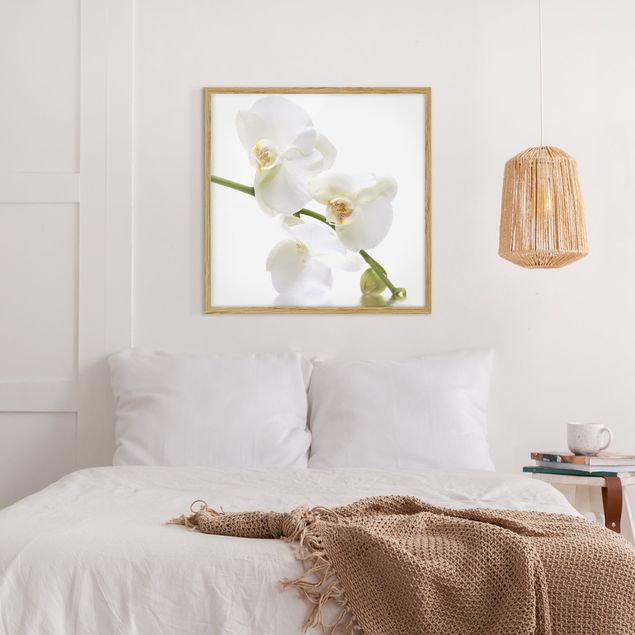 Floral canvas White Orchid Waters