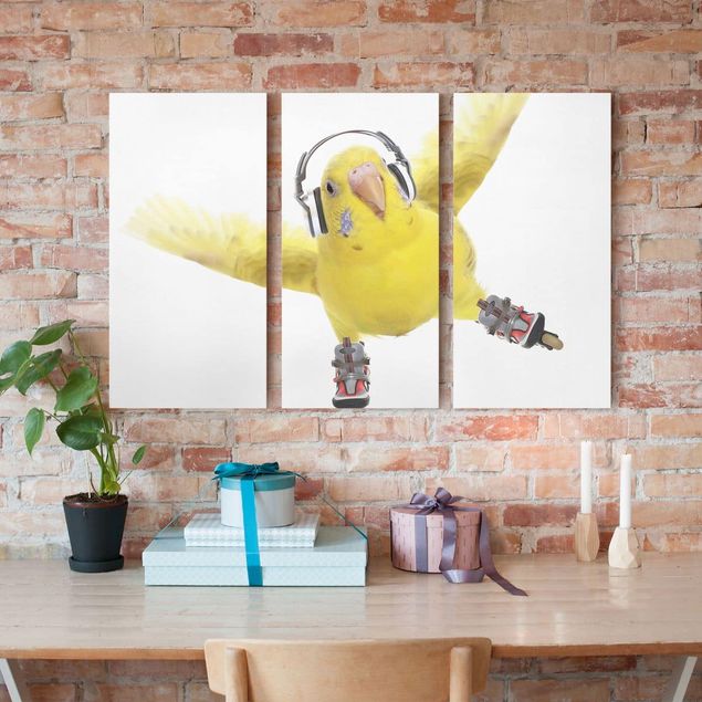 Bird canvas wall art Skate Parakeet