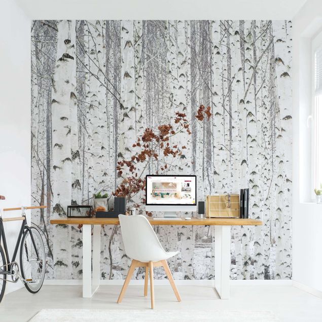 Contemporary wallpaper Birch Trees In Autumn