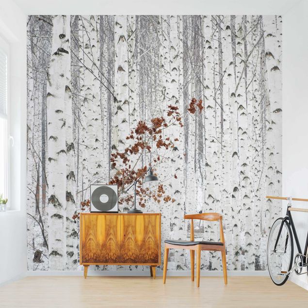Rainforest wallpaper Birch Trees In Autumn