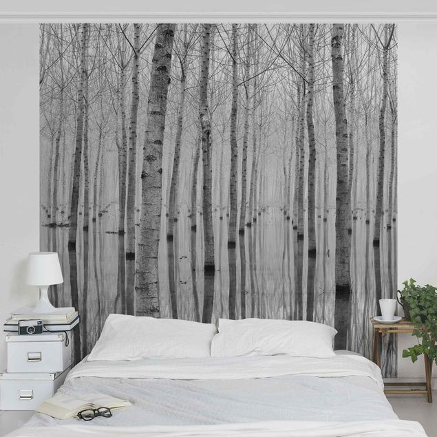 Modern wallpaper designs Birches In November