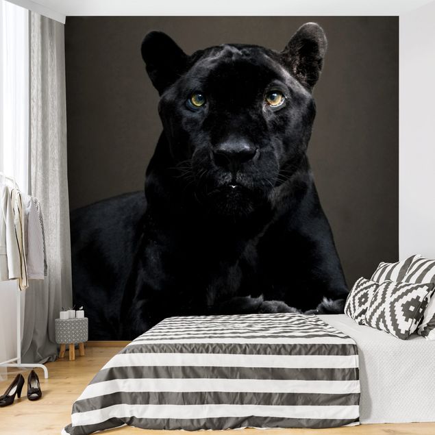Wallpapers cat Black Puma
