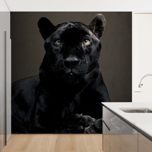 Wallpapers animals Black Puma