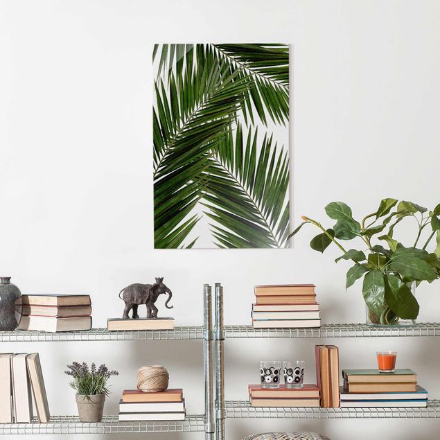 Landscape wall art View Through Green Palm Leaves