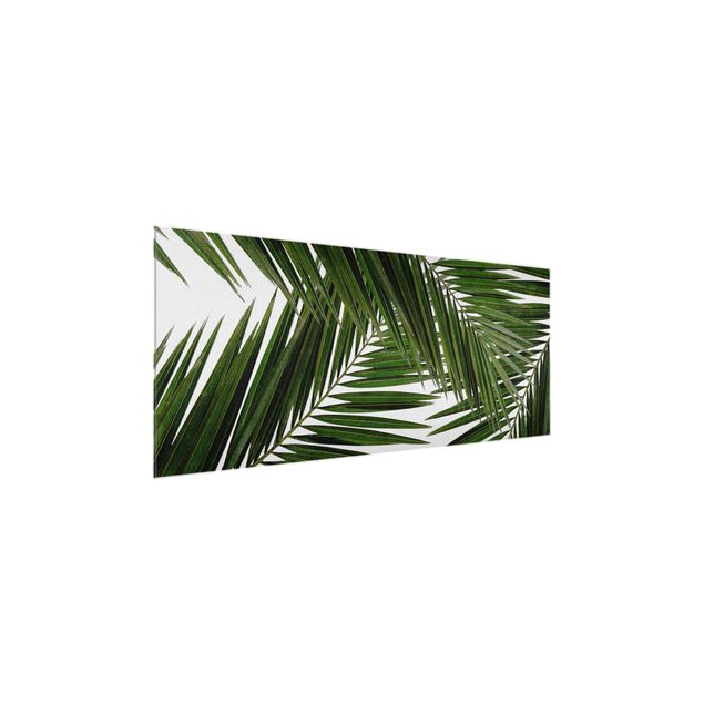 Prints floral View Through Green Palm Leaves