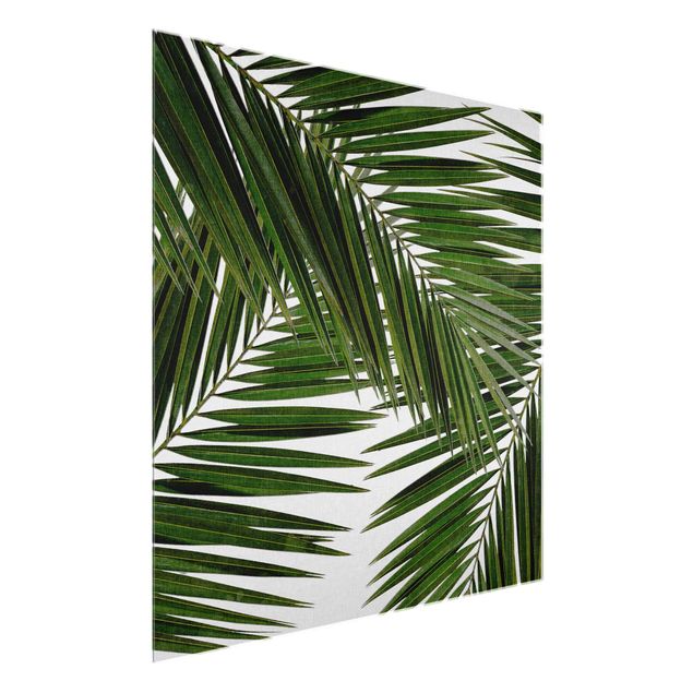 Prints floral View Through Green Palm Leaves