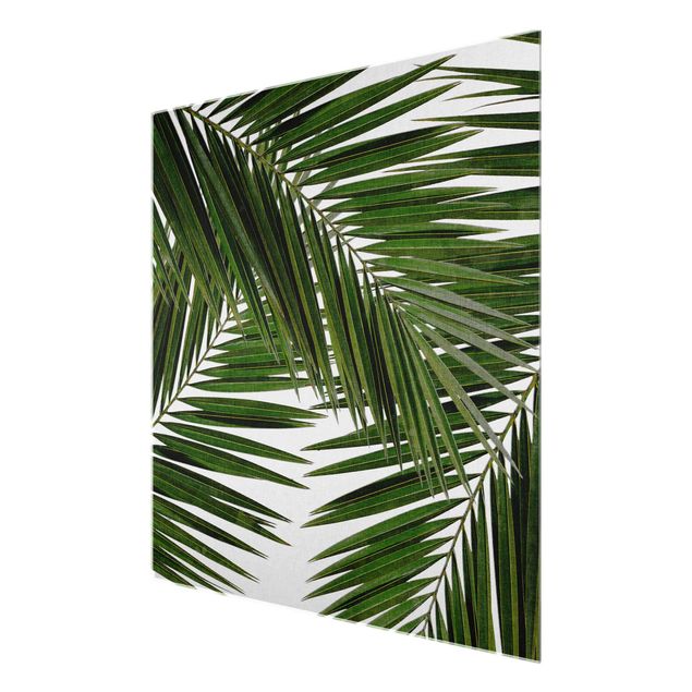 Green canvas wall art View Through Green Palm Leaves