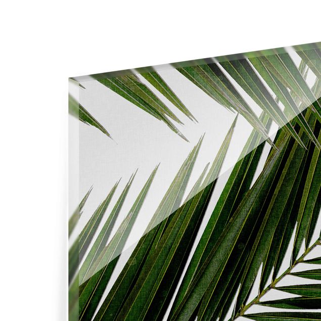 Prints View Through Green Palm Leaves