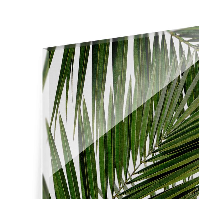 Prints View Through Green Palm Leaves