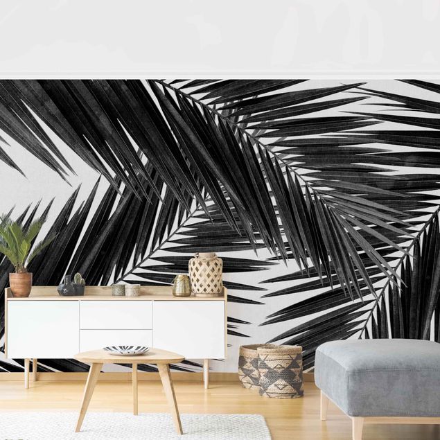 Wallpapers modern View Over Palm Leaves Black And White