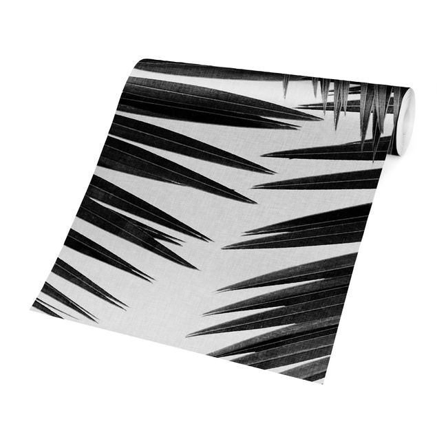 Self adhesive wallpapers View Over Palm Leaves Black And White