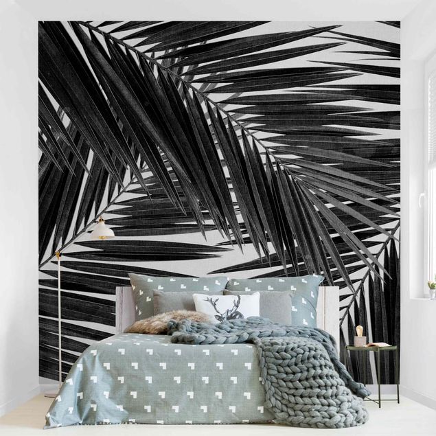 Modern wallpaper designs View Through Palm Leaves Black And White