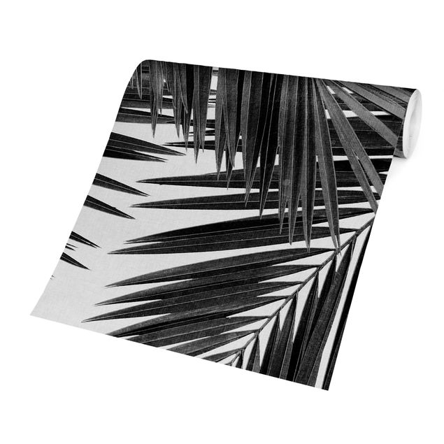 Adhesive wallpaper View Through Palm Leaves Black And White